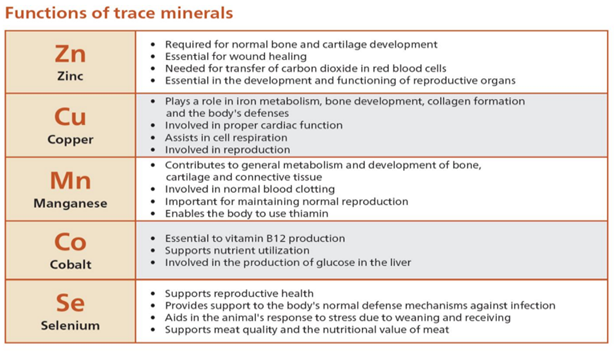 organic-vs-inorganic-trace-minerals-smith-fertilizer-and-grain